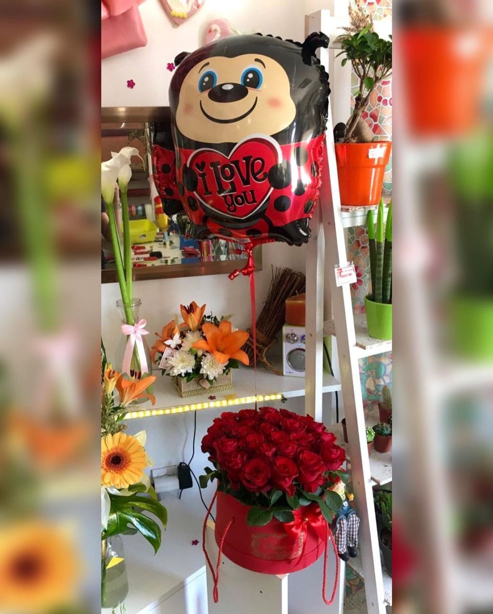 🌸Baloni za razne prilike – OGLASI BATOČINA