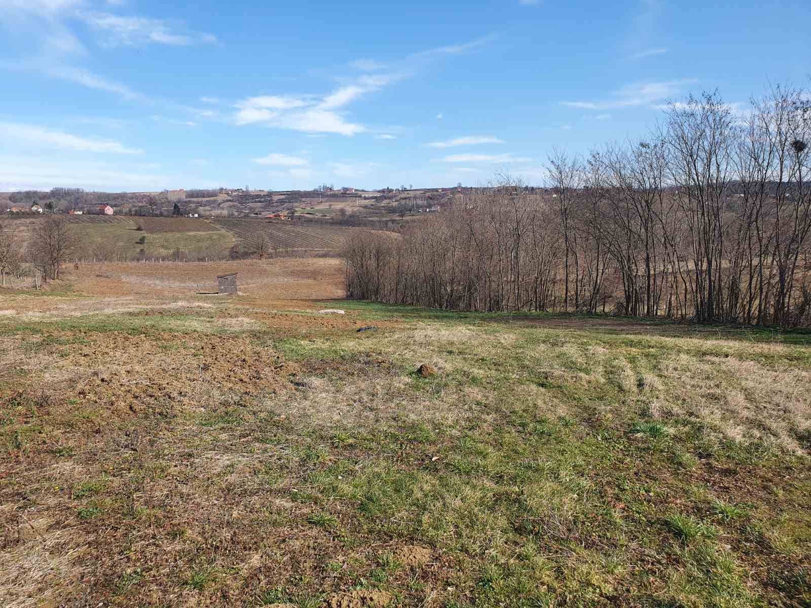 Topola-Gornja Šatornja, njiva 353 ara