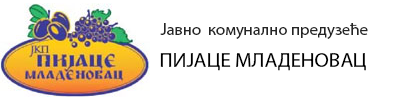 План набавки за 2025. годину – OGLASI MLADENOVAC