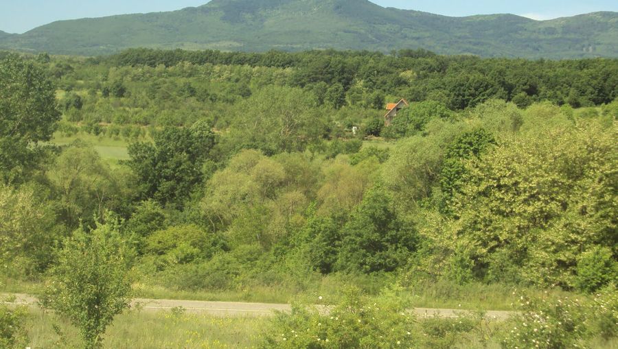Arheološki lokalitet Manastirište – Deleći sudbinu svog naroda, ovaj božanski hram je srušen i pretvoren u razvaline koje i dalje okupljaju narod da slavi Boga – OGLASI BOJNIK
