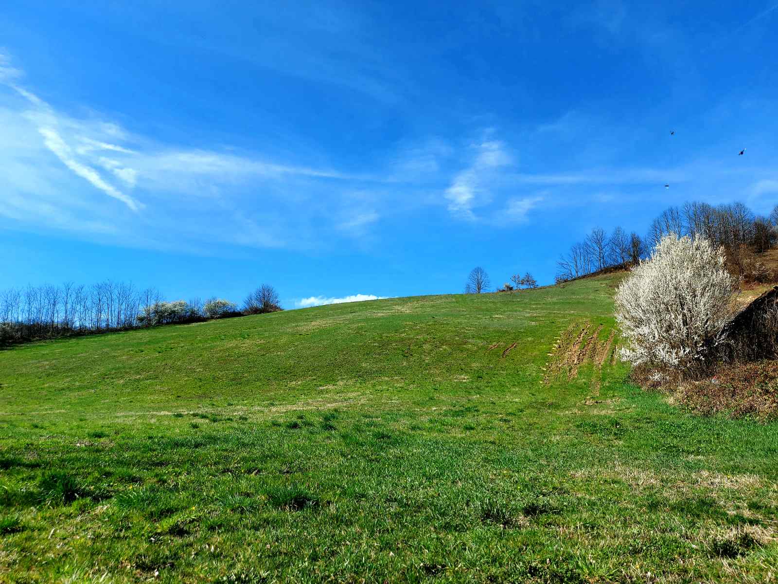 POLJOPRIVREDNO ZEMLJIŠTE 4,8 HA NA ODLIČNOJ LOKACIJI