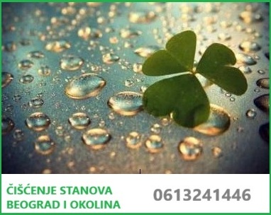 Ciscenje stanova – Selite se u novi stan? Prepustite čišćenje meni!